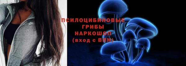 дурь Абаза